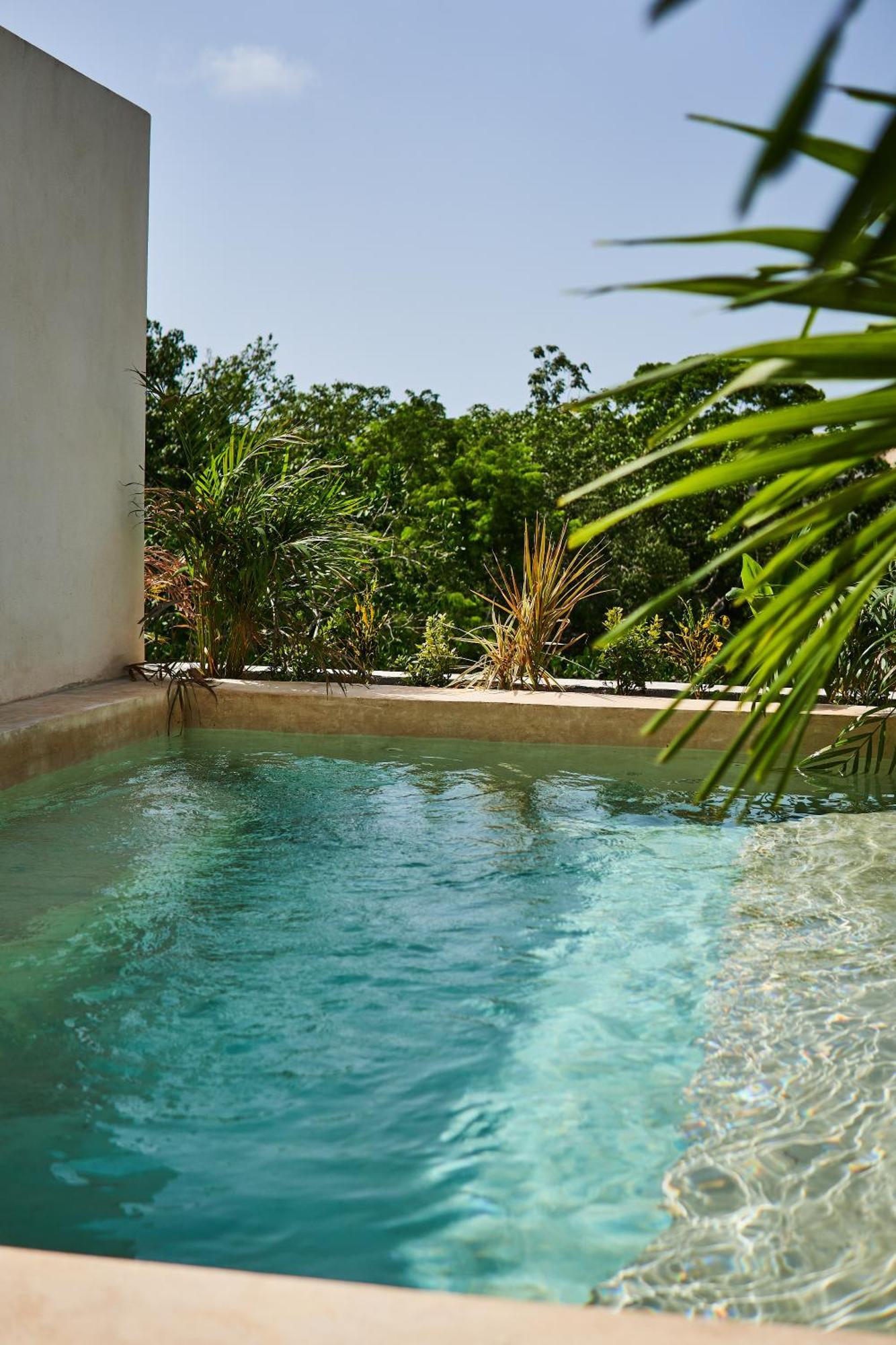 Spacious & Comfy Penthouse Oasis With Plunge Pool تولوم المظهر الخارجي الصورة